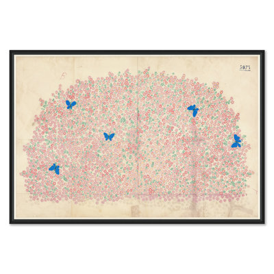 Paule Marrot, Myosotis