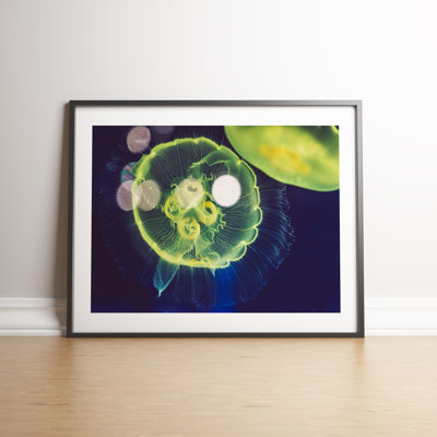 Green Jellyfish by Vouvart - Single Picture Frame Print