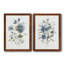 Linen Botanical I - ensemble de 2 reproductions-1264693454-1264693456-1281688393