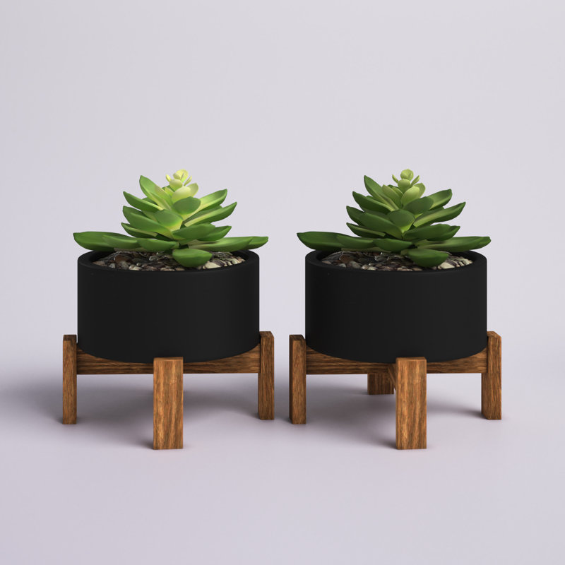 Ensemble de 2 plantes grasses artificielles dans un pot, Brun / Noir