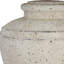 Fellowes Table Lamp