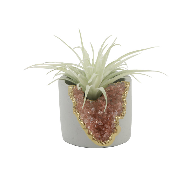 Plante grasse artificielle en pot 2,05 po