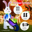 Easter Decoration