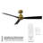 52" 3 Blade Smart Ceiling Fan with Remote Control Included-48461461-83545792
