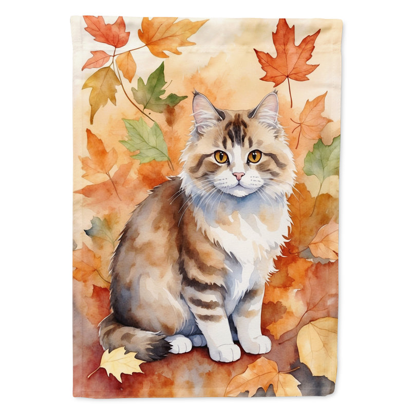Chat en feuilles d'automne, Ragamuffin