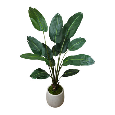 Cape Town 6.5' UV Rated Outdoor Palm Tree in Fiberstone Pot
