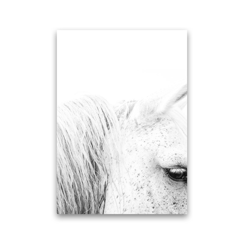 White Horse II by Victoria Frost - Print, Unframed, 59cm H x 42cm W x 1cm D