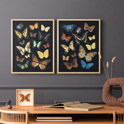 Collectionner Flutter III - reproduction encadrée de qualité supérieure - prête à être accrochée - aucun clou requis - aucun clou requis