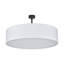 Shroyer Flush Mount