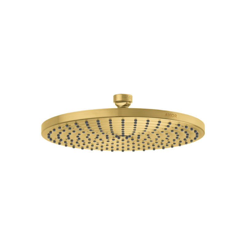 AXOR ShowerSolutions 1-Jet Shower Head 240 with PowderRain, Brushed Gold Optic, 2.5 GPM