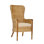 Upholstered Arm Chair