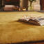 Viscose Hand Woven Area Rug-1864383904