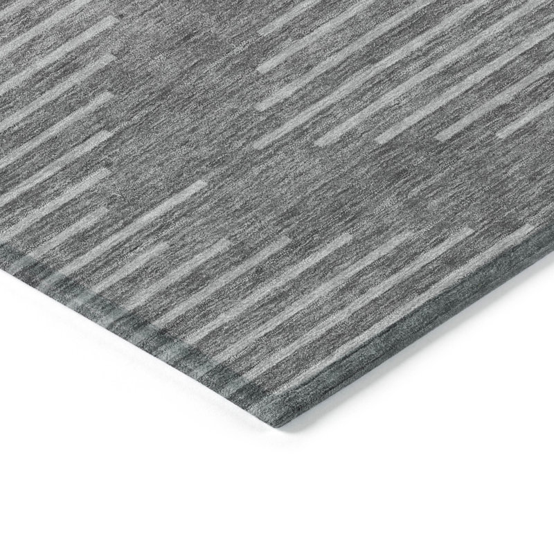 Machine Washable Indoor/Outdoor Chayden ACN1016 Charcoal Rug, Rectangle 3' x 5'