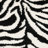 Coltun Shag Performance Animal Print Rug-214301474