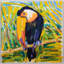 Toucan Print by Lawrence Behunek