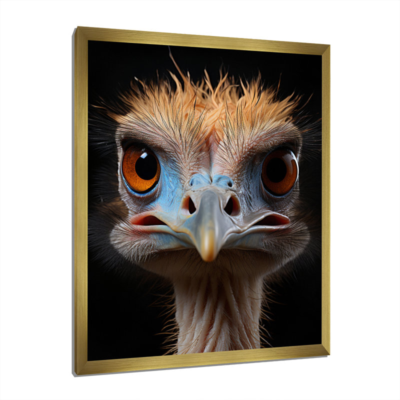 Autruche africaine - autruches, art mural, H 44 po x l 34 po x P 1,5 po, Encadrement doré