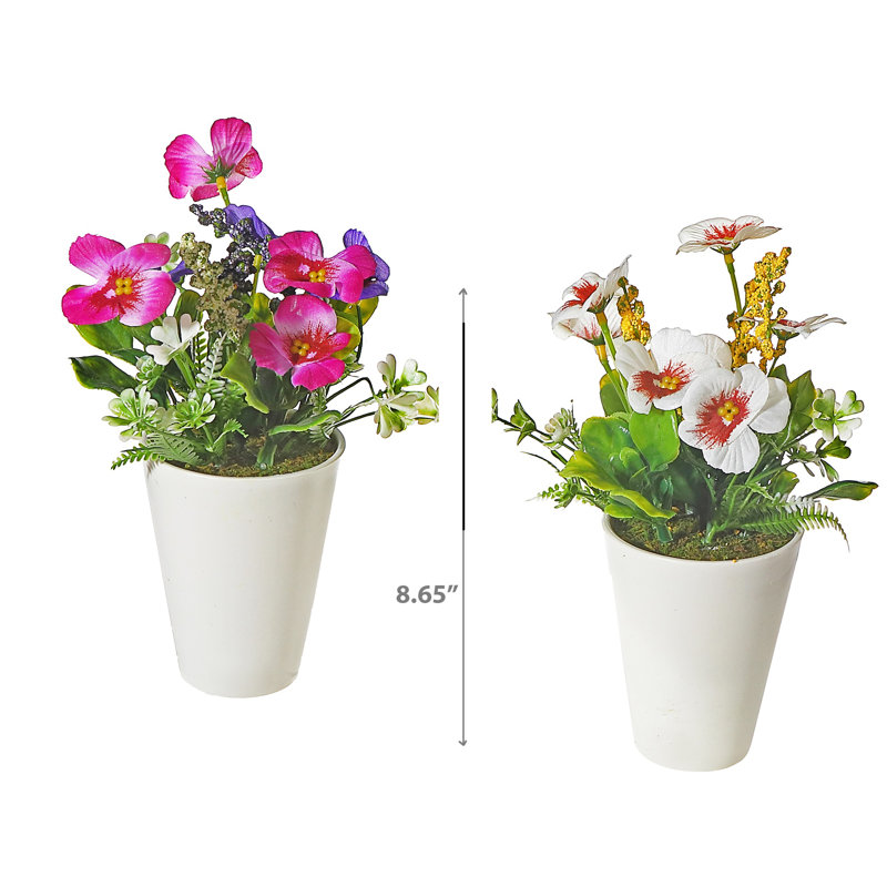 Pansy Arrangement in Pot