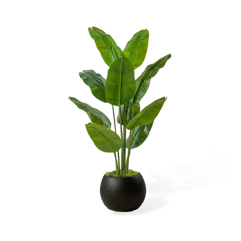 Simulation de banane grande plante verte, Noir, noir, noir, noir, H 62,99 po x l 35,43 po x P 35,43 po