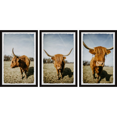 Illman Sweeping Horns - 3 Piece Single Picture Frame Print Set