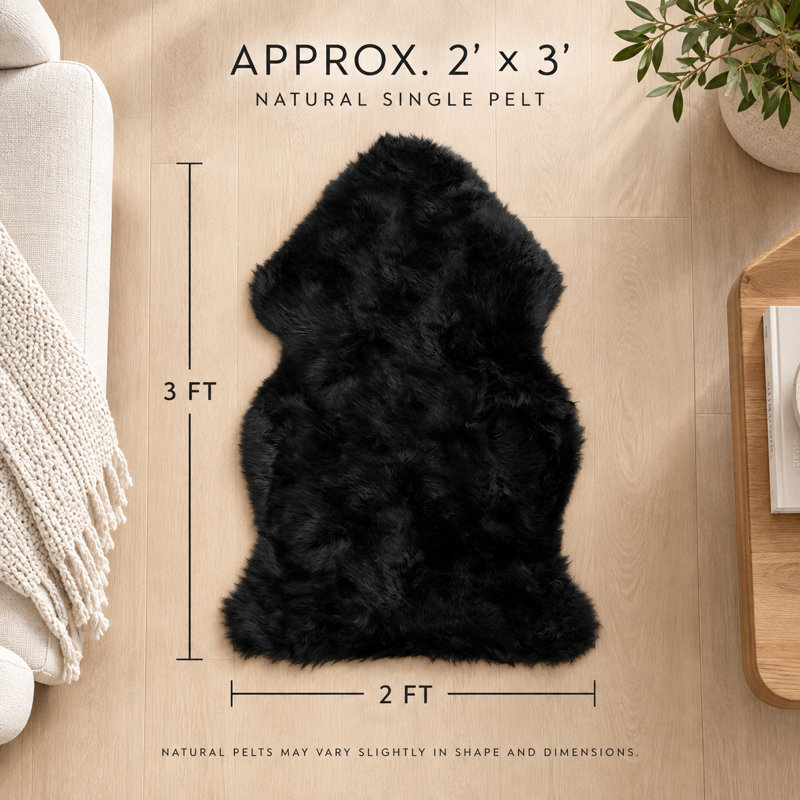 Novelty Muro Animal Print Handmade Sheepskin 2' x 3' Area Rug in Black