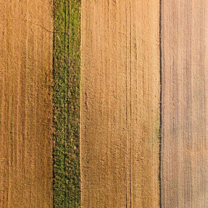 Wrapped Canvas Print, 122 cm H x 122 cm W x 3.81 cm D