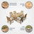 Summerton 6 - Person Teak Patio Dining Set with Cushions-343069837