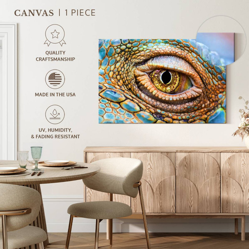 Crowle Iguana Eye, H 16 po x l 24 po