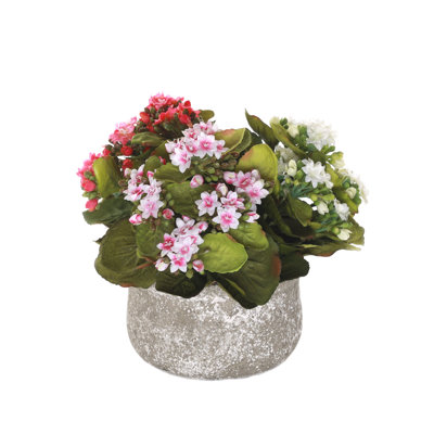 Rose Arrangement in Pot