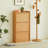 Burlywood Solid wood Shoe Storage
