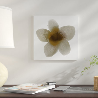 «Taupe Bloom II», reproduction sur toile