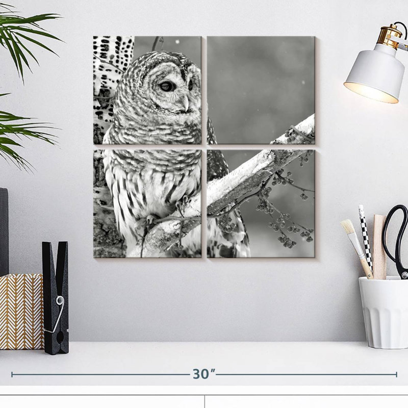 Hibou blanc Brampt BW, H 18 po x l 18 po