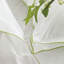 Astor Sham-61534767-25844622