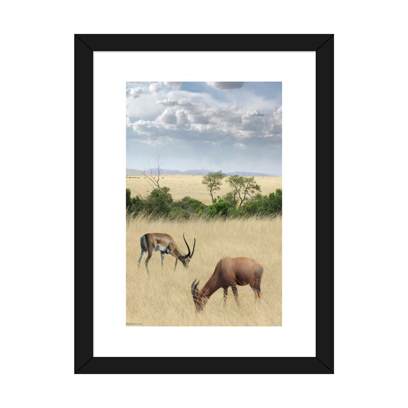 #2 Kenya par Ben Heine-reproduction de photo, H 24 po x l 16 po x P 1 po, Papier encadré noir, Blanc