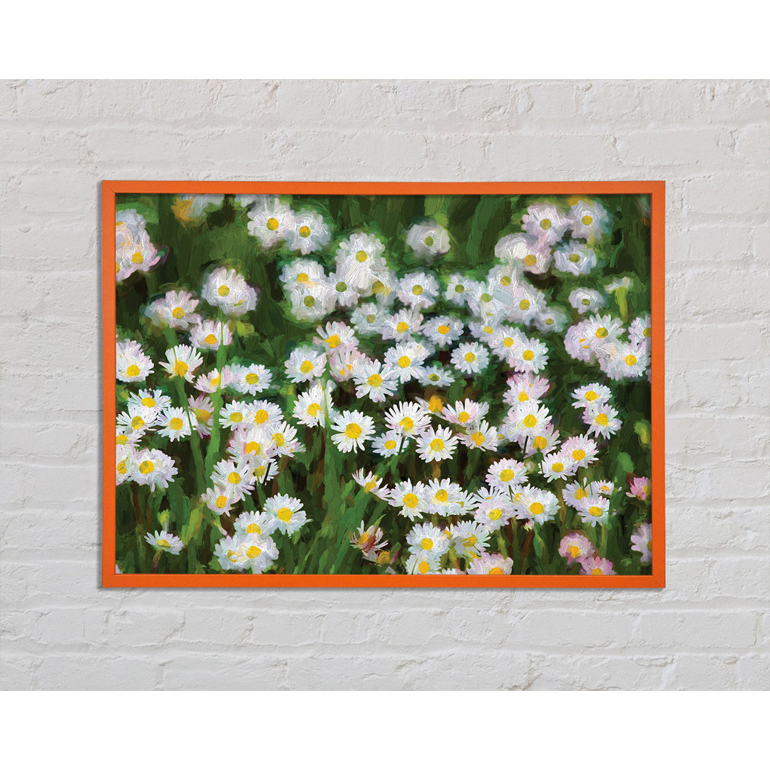 Alaraph White Daisy Heaven - Einzelner Bilderrahmen Kunstdrucke