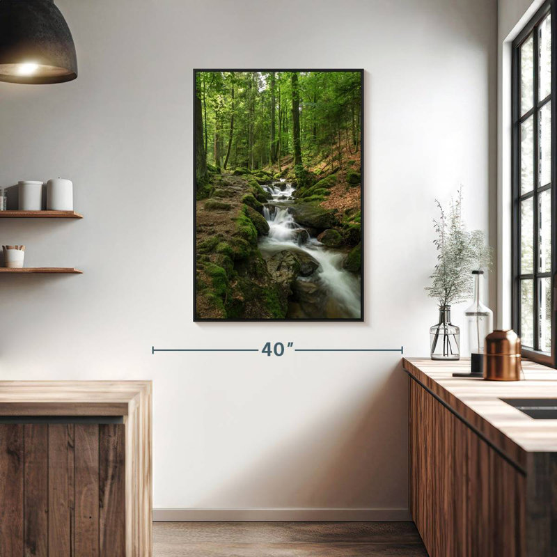 Ruisseau Buhl Forest, Cadre flottant noir, 27 po x 40 po