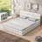 Queen Size Upholstered Platform Bed-1805547130