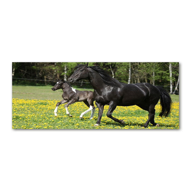 Mare With Foal - No Frame Print, Canvas, 50cm H x 125cm W x 2cm D