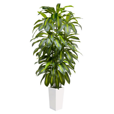 Faux Plant
