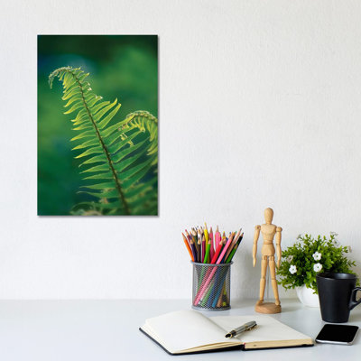 Garden Fern by Savanah Plank - Wrapped Canvas Print