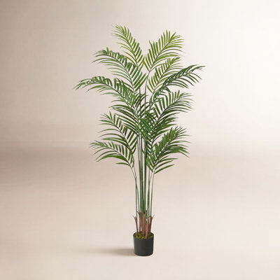 84" Palm Tree in Pot