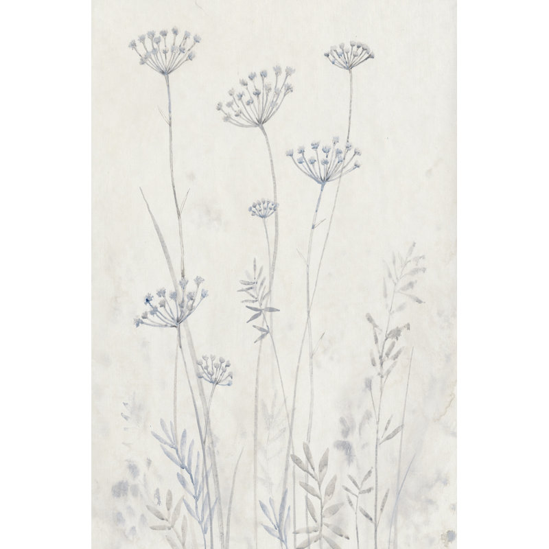 Neutral Queen Anne''s Lace II by Tim OToole - Wrapped Canvas Art Print, 46cm H x 30cm W