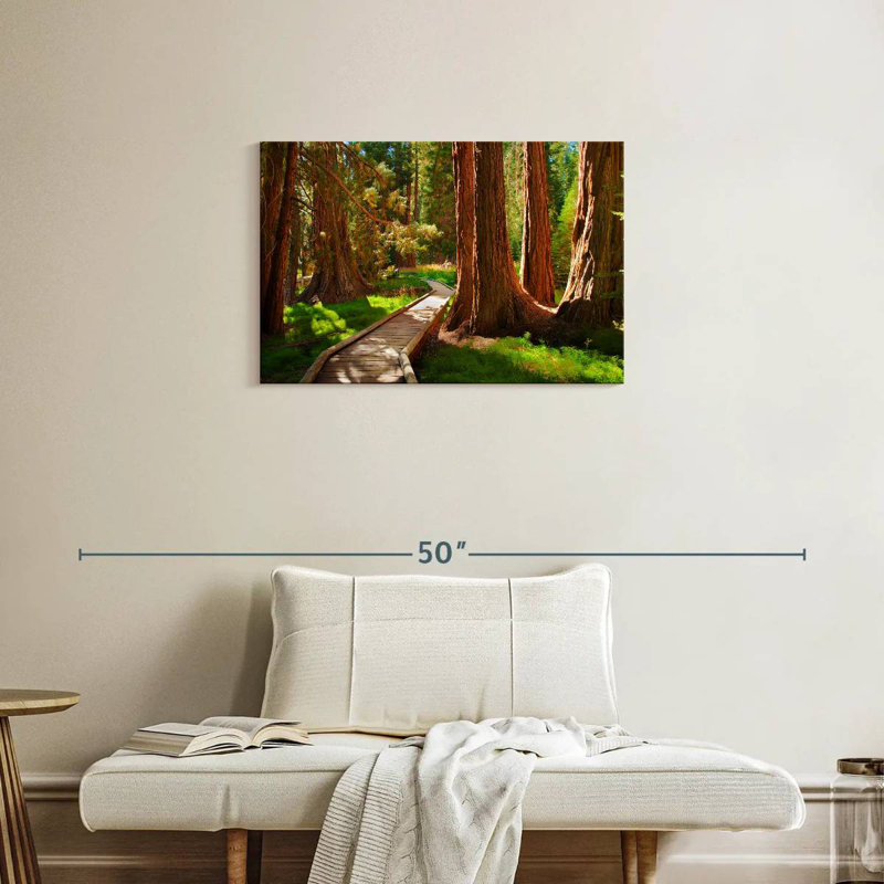 Alvord Reddish Sequoia Forest