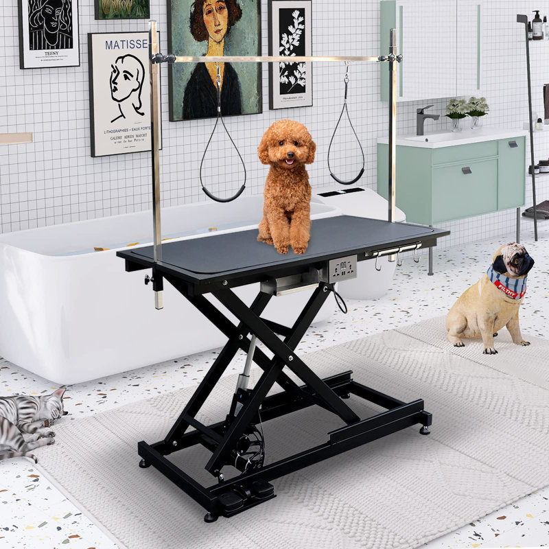 Table de toilettage professionnelle, Noir