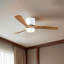 Ventilateur de plafond à moteur à courant continu de 42 po Epoch avec lumière DEL à intensité variable, pales en bois massif, commande de l'application, interrupteur mural et télécommande manuelle-120464024-120464022