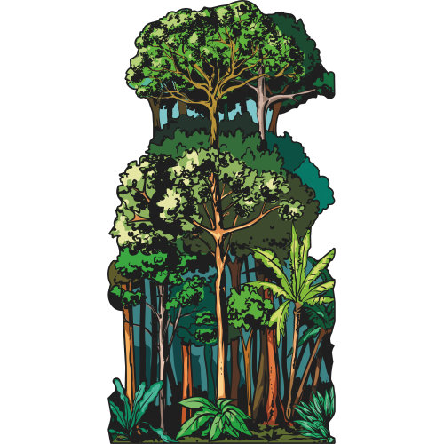 SP13340 Illustration de forêt tropicale et arbres découpés en carton debout