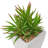 Mini Faux Spike Succulent in Ceramic Pot
