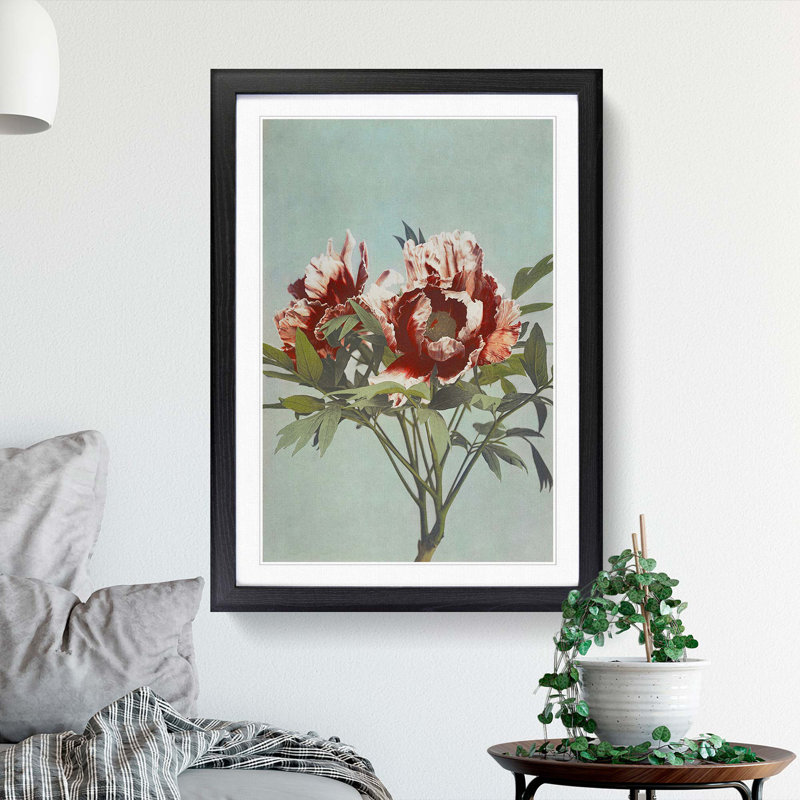 Tree Peony by Kazumasa Ogawa - Picture Frame Painting Print, 65cm H x 48cm W x 2cm D, Black Framed