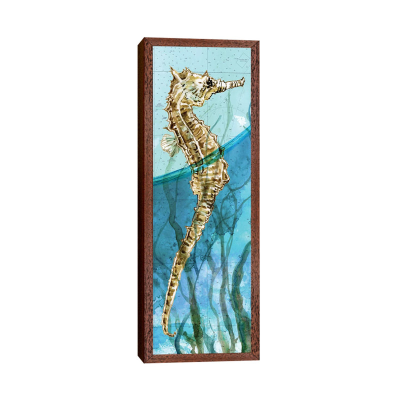 Atlantic Seahorse by Carol Robinson - Panoramic Print on Canvas, Classic Brown Wood Framed, 121.92 cm H x 40.64 cm W