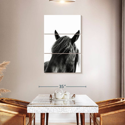 Cheval noir sauvage Brampt