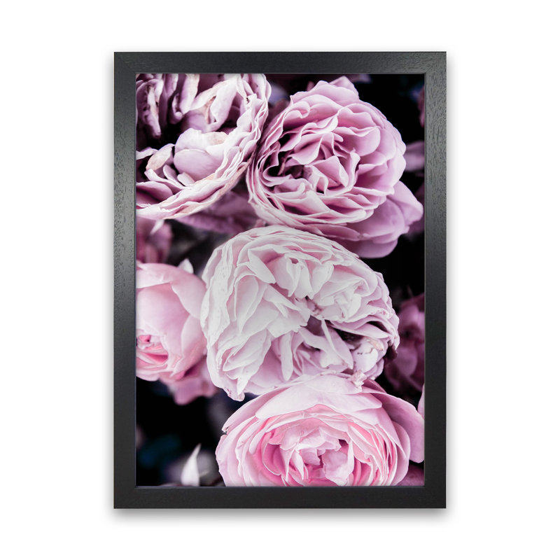 Pink Flowers I by Victoria Frost - Print, Black Framed, 34cm H x 25cm W x 3cm D